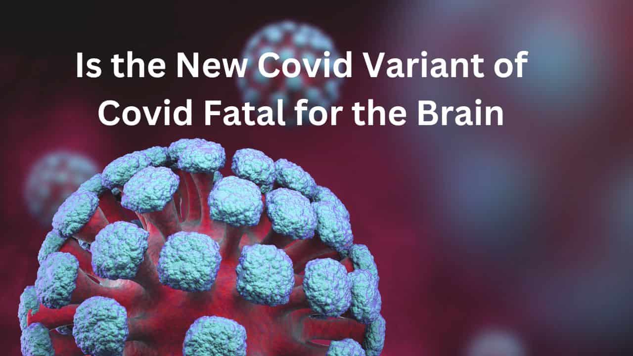 Is the New Covid Variant of Covid Fatal for the Brain