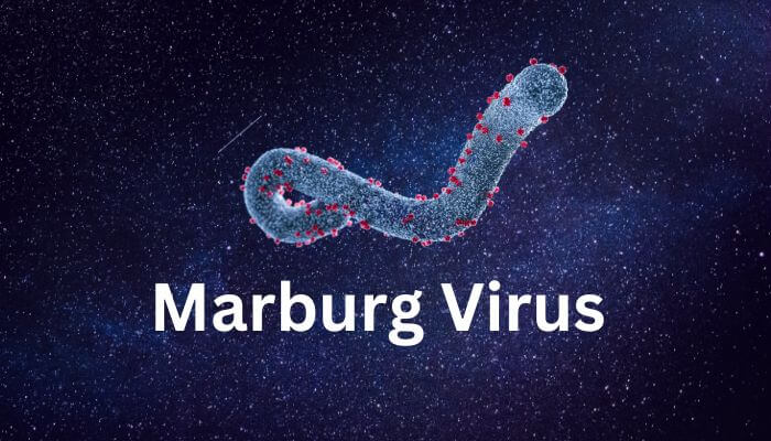marburg virus disease
