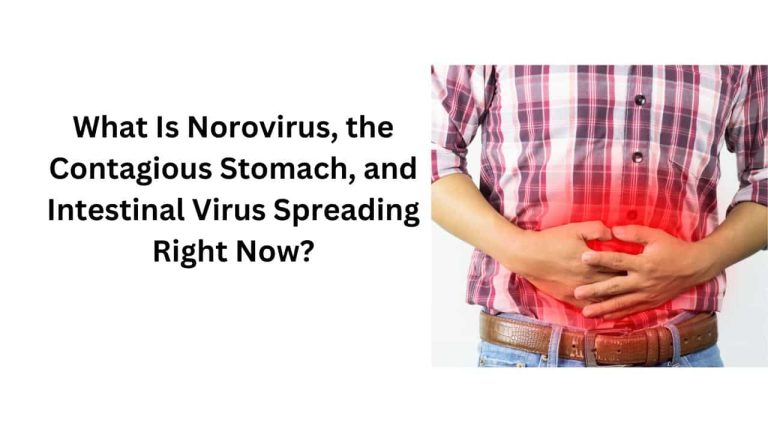 What Is Norovirus, the Contagious Stomach, and Intestinal Virus Spreading Right Now?